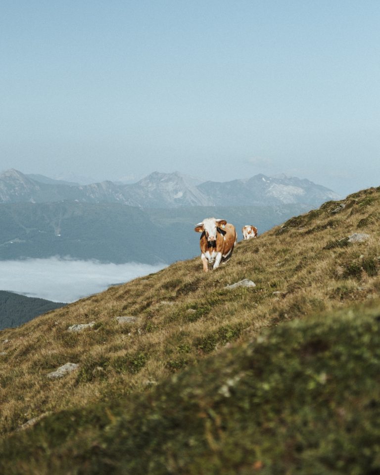 SalzburgerLand Favorite Places Social Media